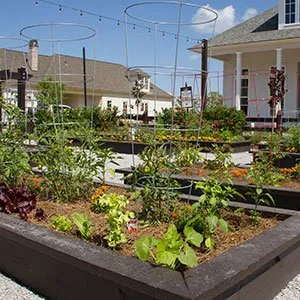 Professional garden landscaping with custom design in Greenwell Springs, LA by GreenSeasons