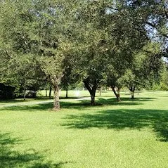 Professional yard cleanup service experts serving Slidell, LA - GreenSeasons