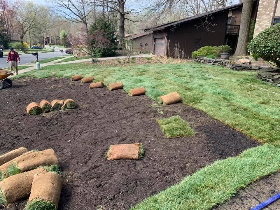 Local garden landscaping for year-round maintenance across Fairfax, VA - GreenSetter Landscape & Hardscape