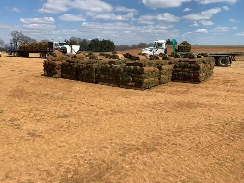 Reliable lawn mowing service experts serving Fairfax, VA - GreenSetter Landscape & Hardscape