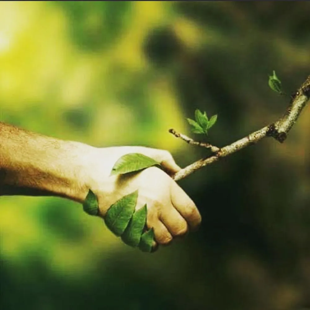 Expert garden landscaping experts serving Hacienda Heights, CA - GreenShade