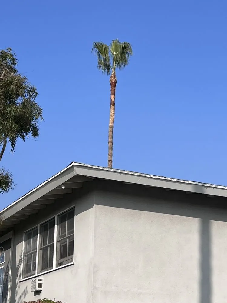 Custom garden landscaping for outdoor upgrades across Hacienda Heights, CA - GreenShade