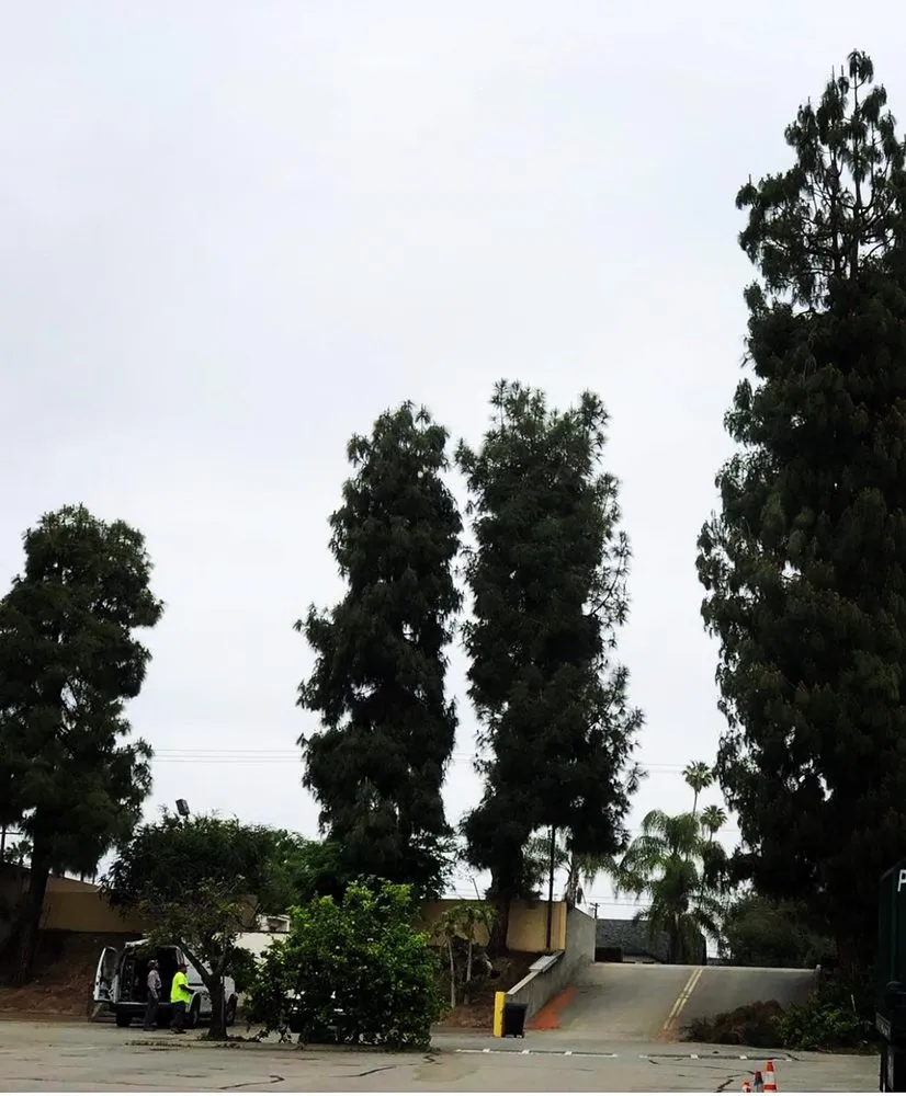 Local lawn care service for year-round maintenance across Hacienda Heights, CA - GreenShade