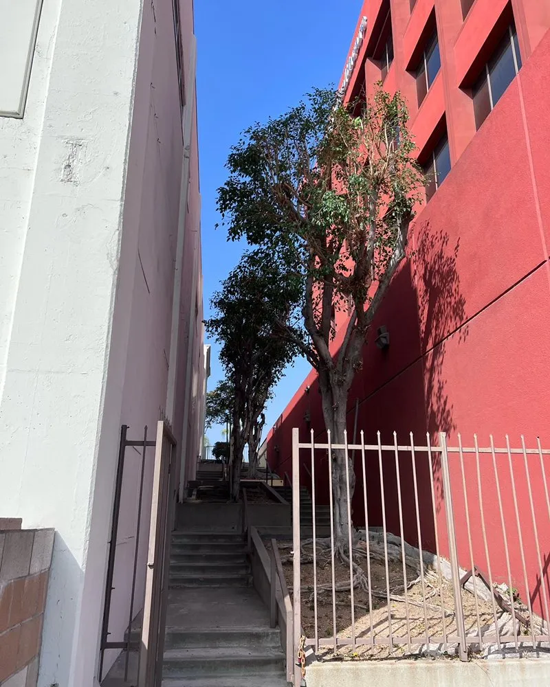 Top-rated landscaping services for beautiful yards in Hacienda Heights, CA by GreenShade