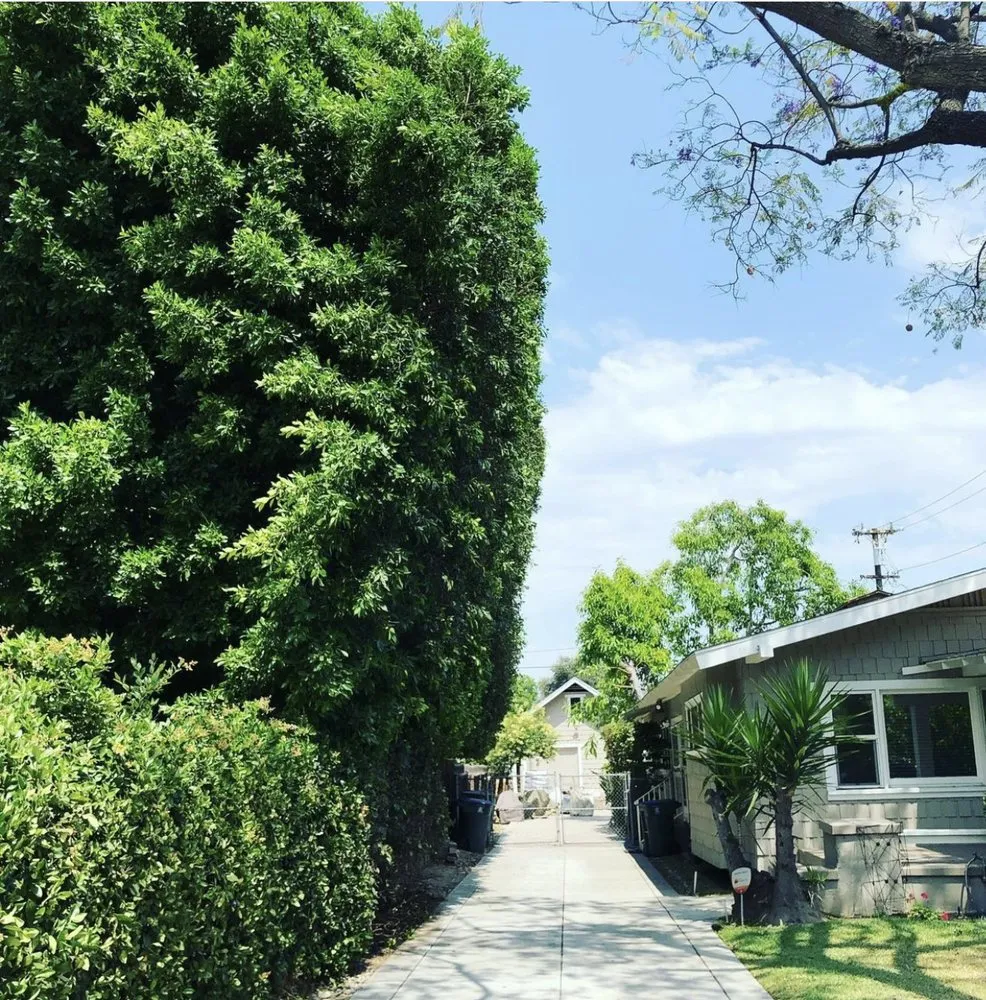 Local lawn care service in Hacienda Heights, CA by GreenShade