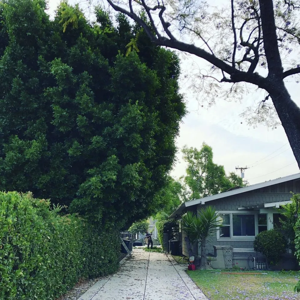 Trusted landscape installation for beautiful yards in Hacienda Heights, CA by GreenShade