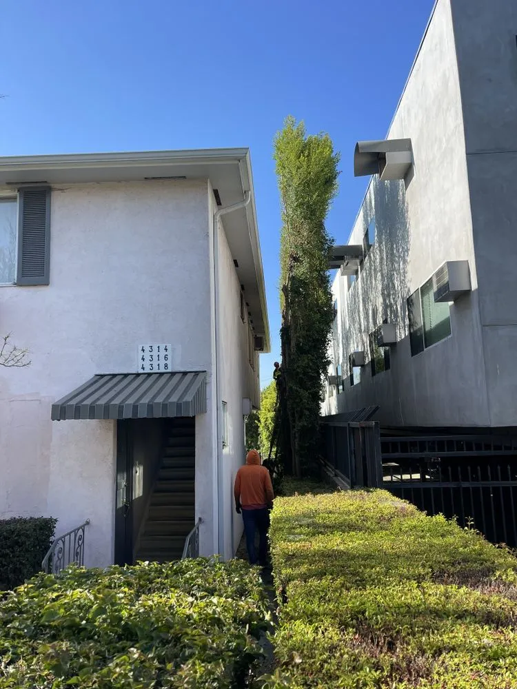 Custom outdoor landscaping near you across Hacienda Heights, CA - GreenShade