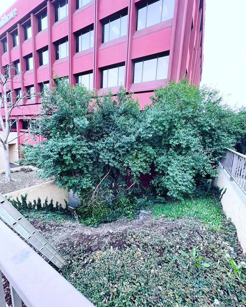 Affordable garden landscaping near you in Hacienda Heights, CA by GreenShade