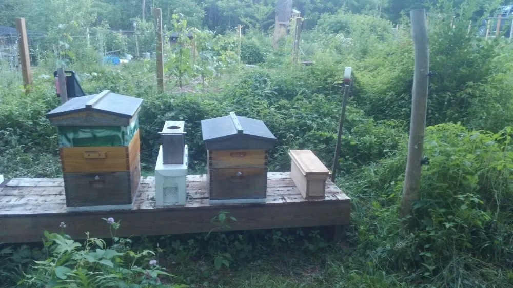 Top-rated landscape installation experts serving Thetford Center, VT - Greenshield Arboriculture
