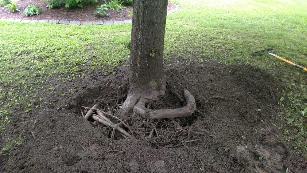 Trusted outdoor landscaping experts serving Thetford Center, VT - Greenshield Arboriculture
