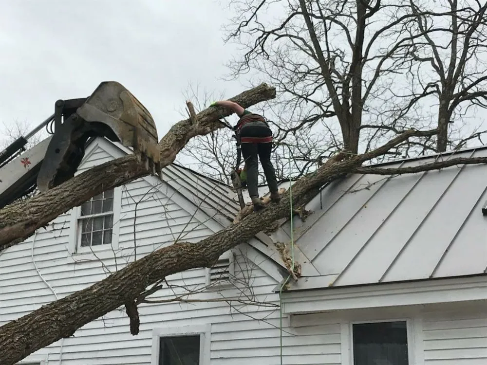 Local landscape design experts serving Thetford Center, VT - Greenshield Arboriculture
