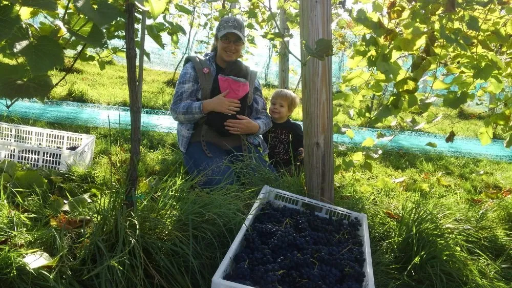 Reliable yard cleanup service near you across Thetford Center, VT - Greenshield Arboriculture