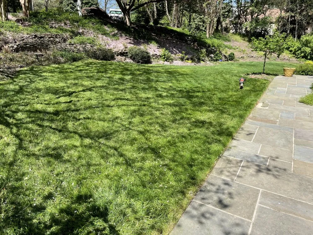 Local landscape installation in Alexandria, VA by GreenShine Landscaping