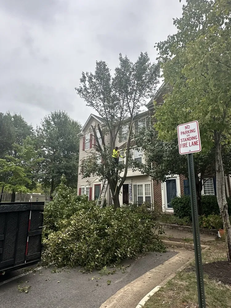 Custom yard maintenance in Alexandria, VA - GreenShine Landscaping