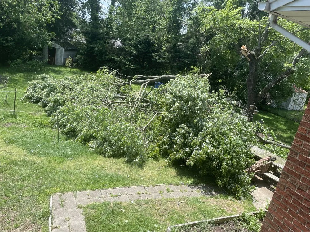 Trusted garden landscaping in Alexandria, VA - GreenShine Landscaping