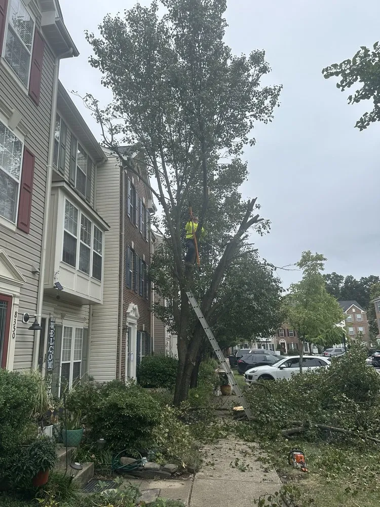 Trusted outdoor landscaping for homes in Alexandria, VA by GreenShine Landscaping