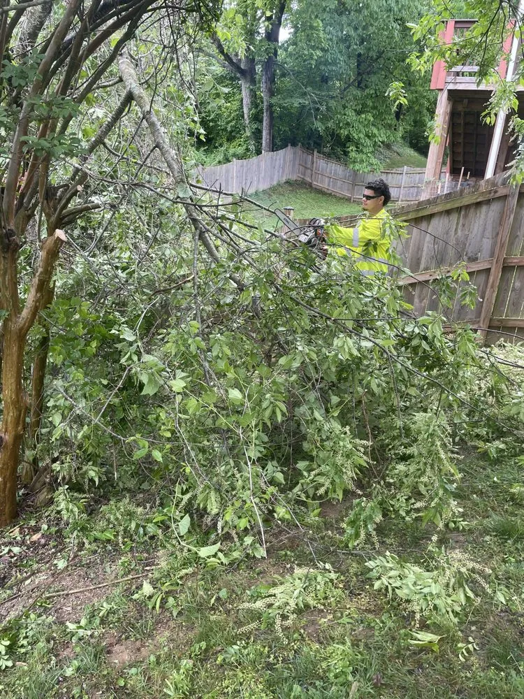 Top-rated outdoor landscaping experts serving Alexandria, VA - GreenShine Landscaping