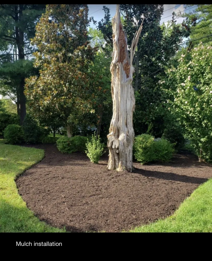 Reliable landscape design experts serving Alexandria, VA - GreenShine Landscaping