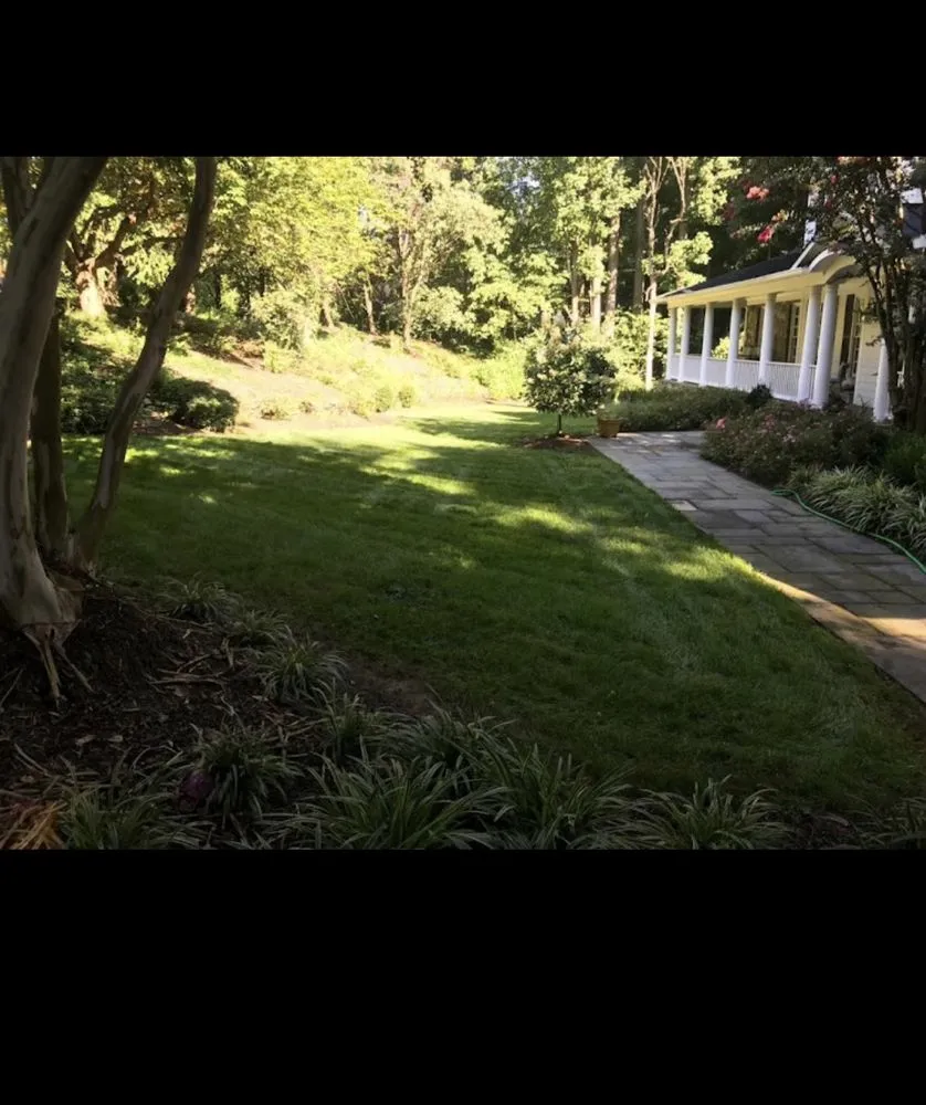 Local outdoor landscaping with custom design in Alexandria, VA by GreenShine Landscaping