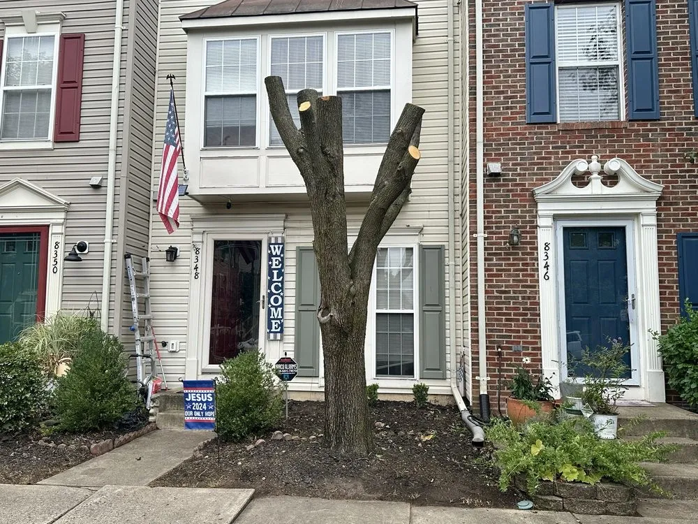 Reliable landscape installation for residential properties in Alexandria, VA by GreenShine Landscaping