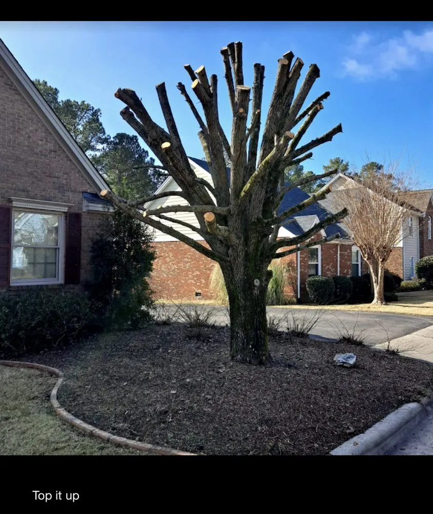 Professional yard maintenance experts serving Alexandria, VA - GreenShine Landscaping