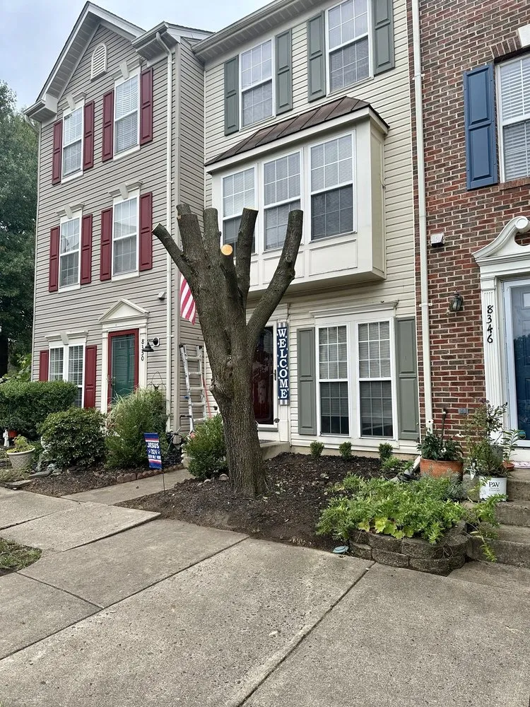 Trusted landscape design in Alexandria, VA by GreenShine Landscaping