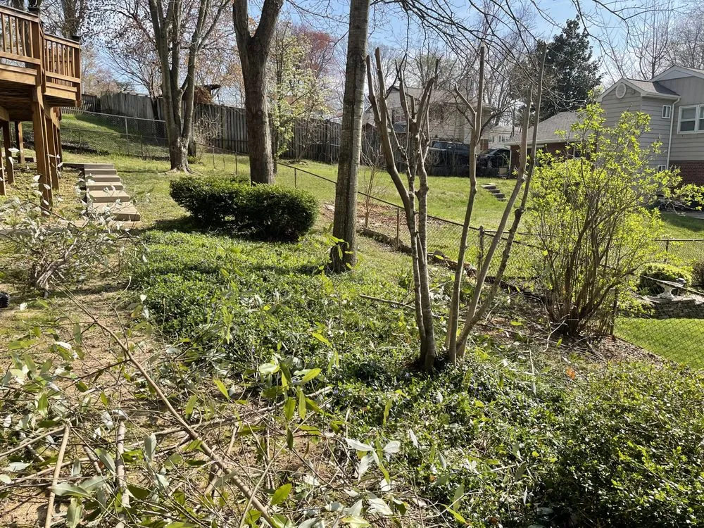 Reliable landscape installation in Alexandria, VA by GreenShine Landscaping