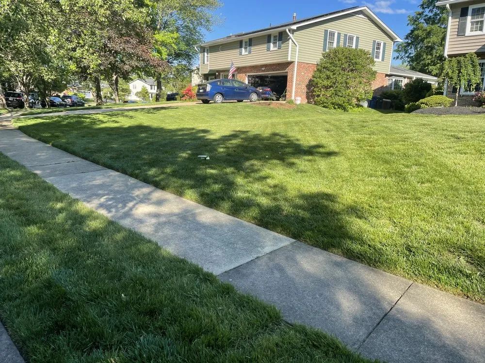 Trusted lawn care service for year-round maintenance in Alexandria, VA by GreenShine Landscaping