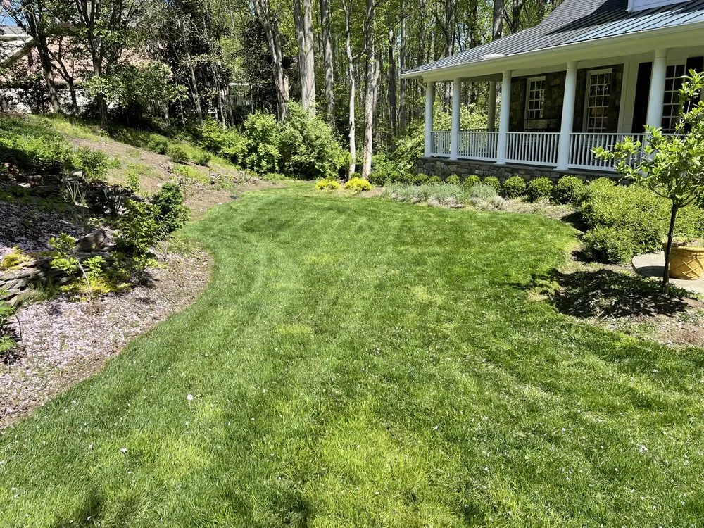 Reliable yard maintenance experts serving Alexandria, VA - GreenShine Landscaping