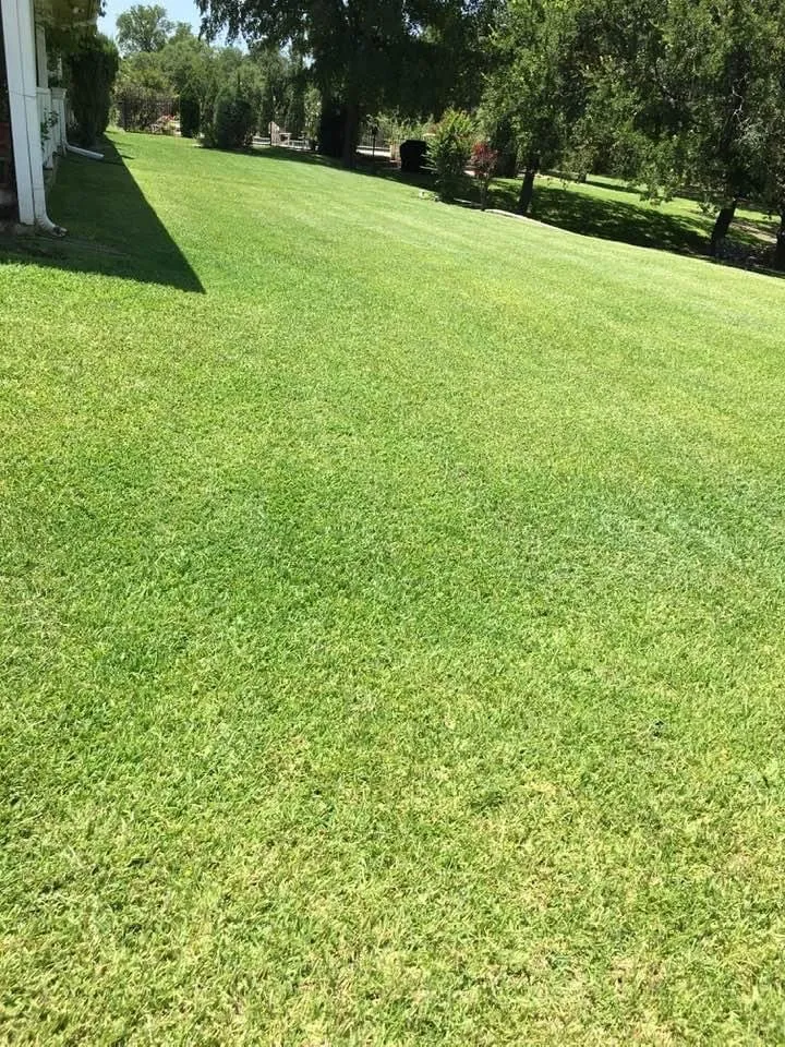 Expert landscape installation for outdoor upgrades across Weatherford, TX - Greenshine Mowing Service