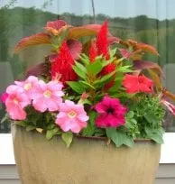 Trusted garden landscaping in Cumming, GA - Greenshooz Landscaping and Lawn Maintenance