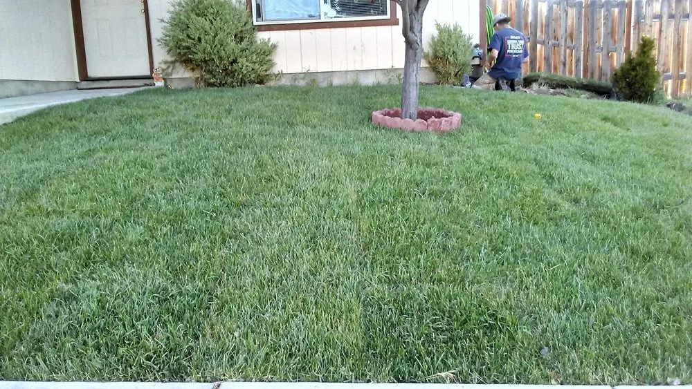 Local residential landscaping for homes across Woodinville, WA - Greenside Landscape Services