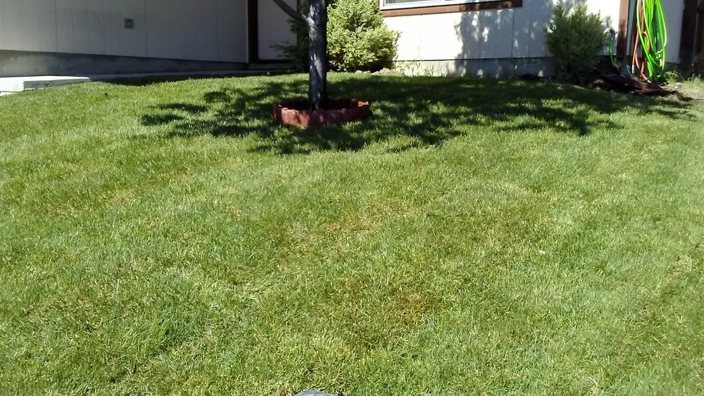 Reliable yard maintenance in Woodinville, WA by Greenside Landscape Services