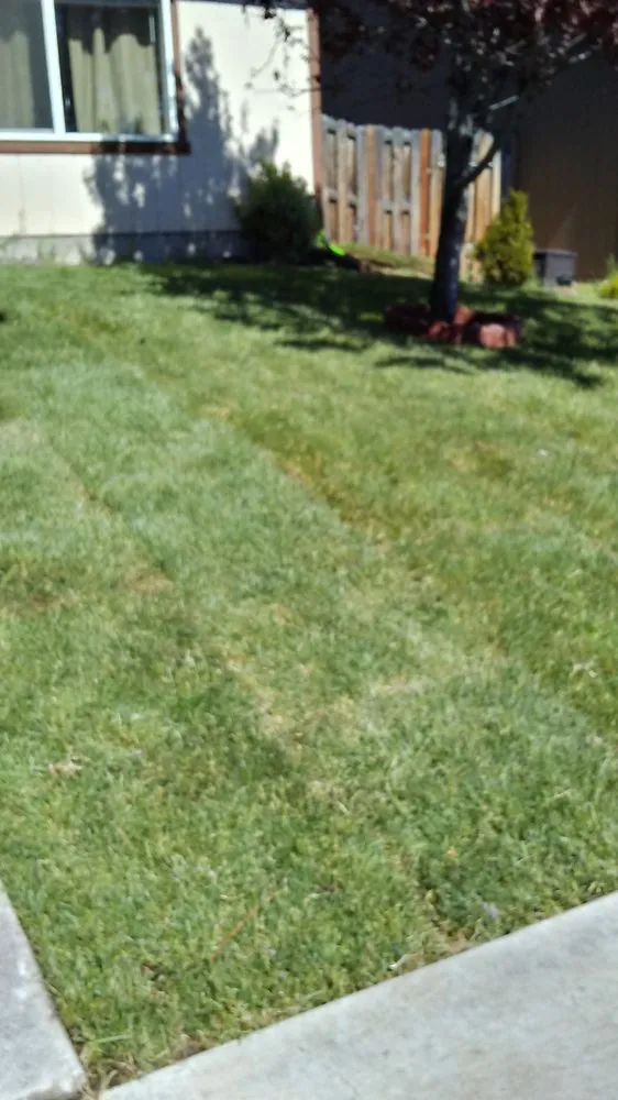 Professional garden landscaping for year-round maintenance across Woodinville, WA - Greenside Landscape Services