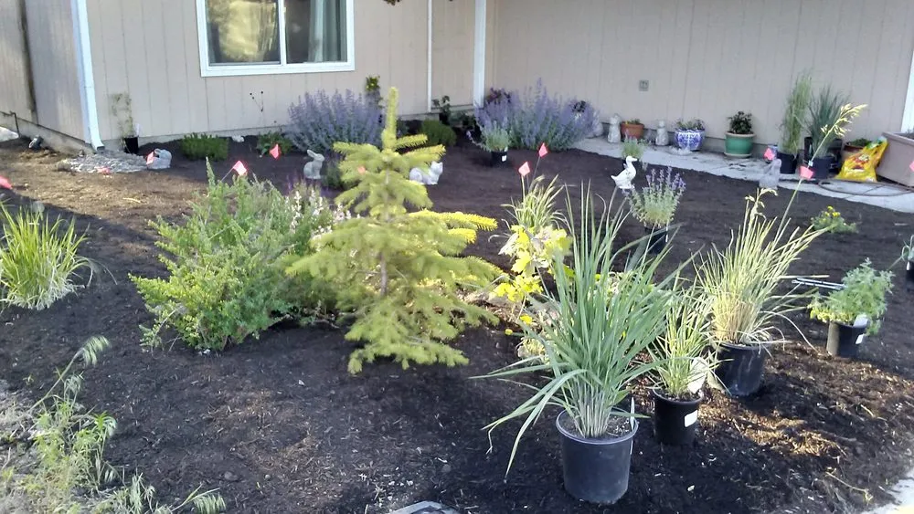 Expert landscaping services for beautiful yards across Woodinville, WA - Greenside Landscape Services