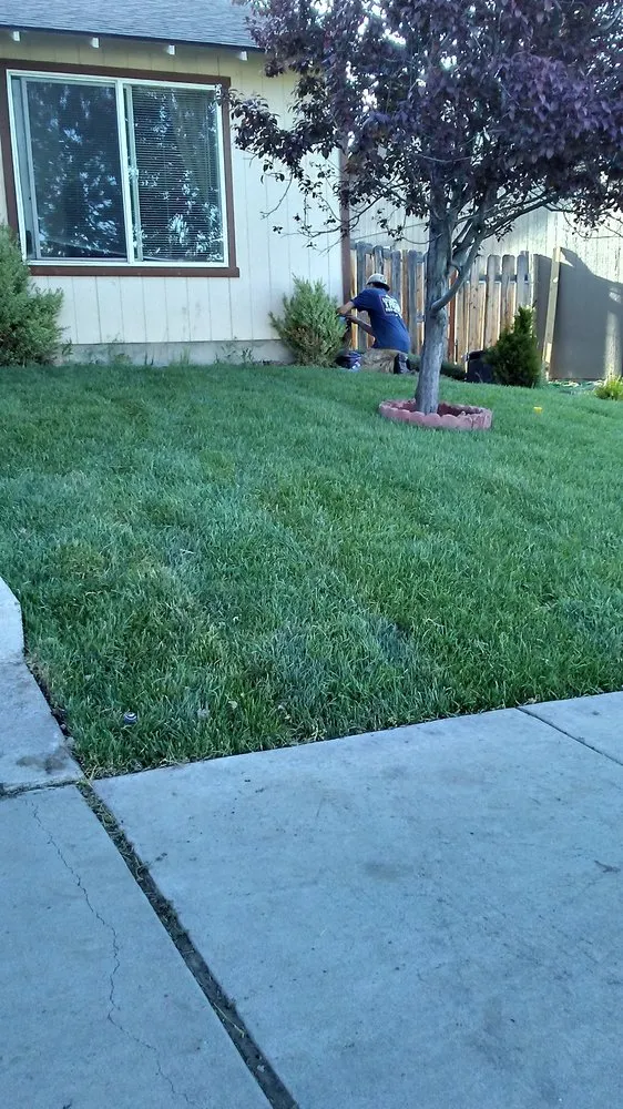 Local yard maintenance for beautiful yards in Woodinville, WA by Greenside Landscape Services