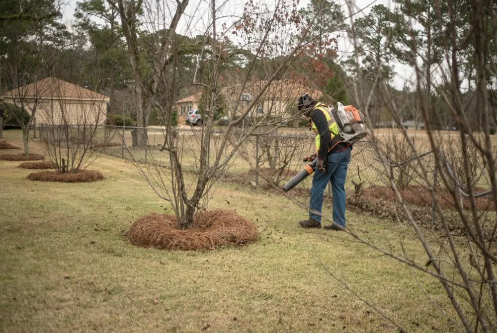 Top-rated residential landscaping experts serving Albany, GA - Greenside Landscaping