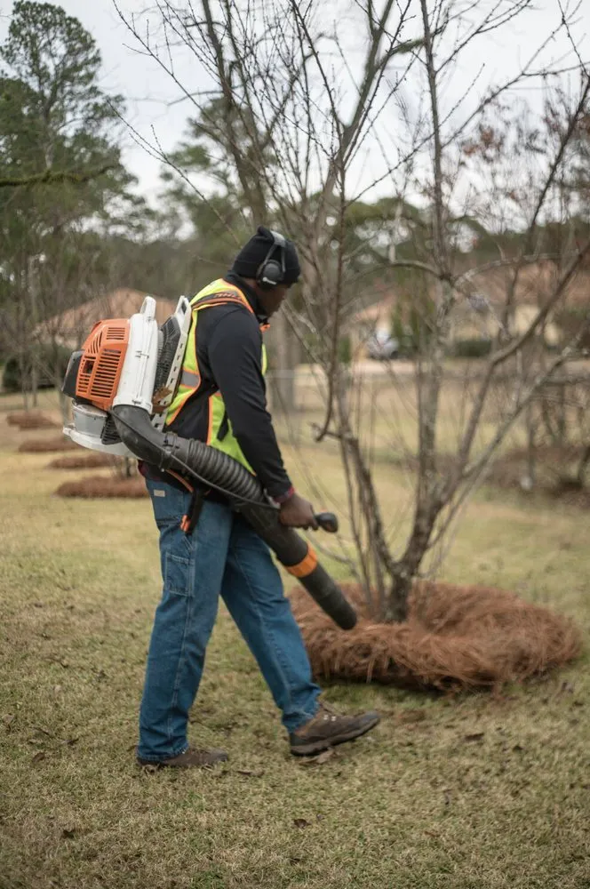 Professional landscape design in Albany, GA - Greenside Landscaping
