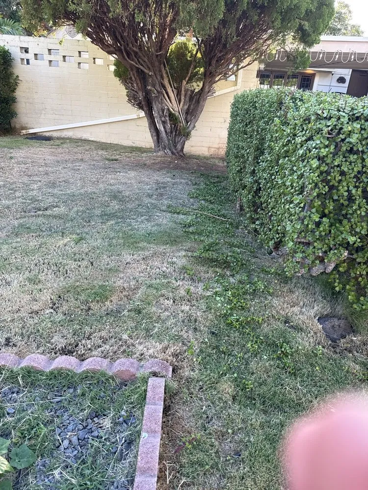 Local landscape design for beautiful yards in Urban Honolulu, HI by Greenside Landscaping