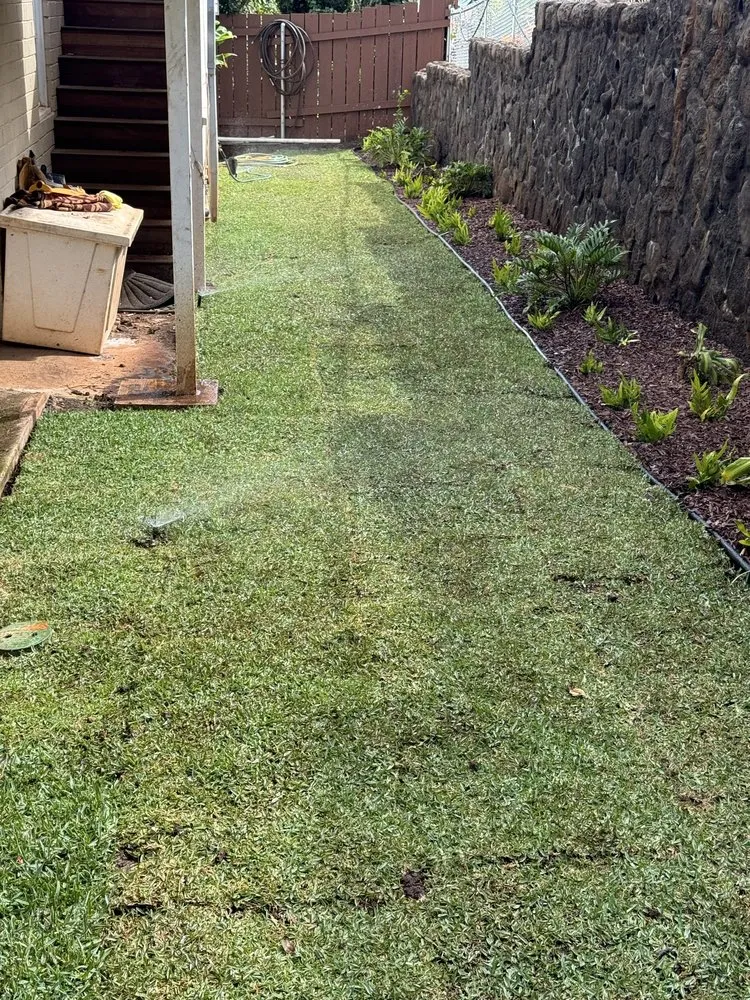 Top-rated yard cleanup service in Urban Honolulu, HI by Greenside Landscaping