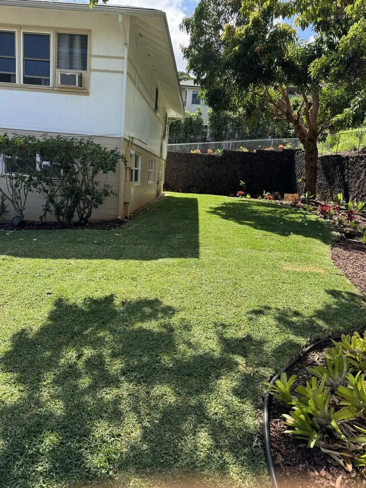 Custom yard maintenance in Urban Honolulu, HI - Greenside Landscaping