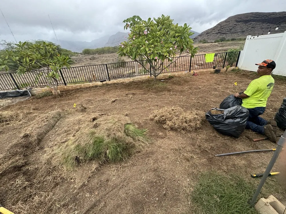 Expert landscaping services in Urban Honolulu, HI by Greenside Landscaping