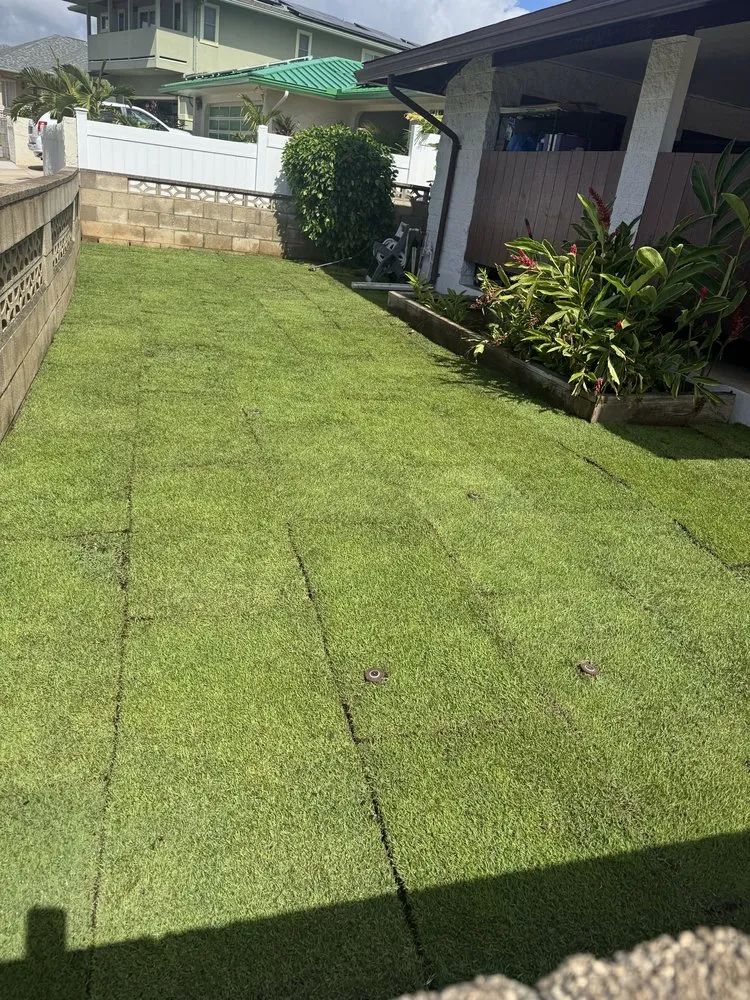 Top-rated yard maintenance in Urban Honolulu, HI by Greenside Landscaping
