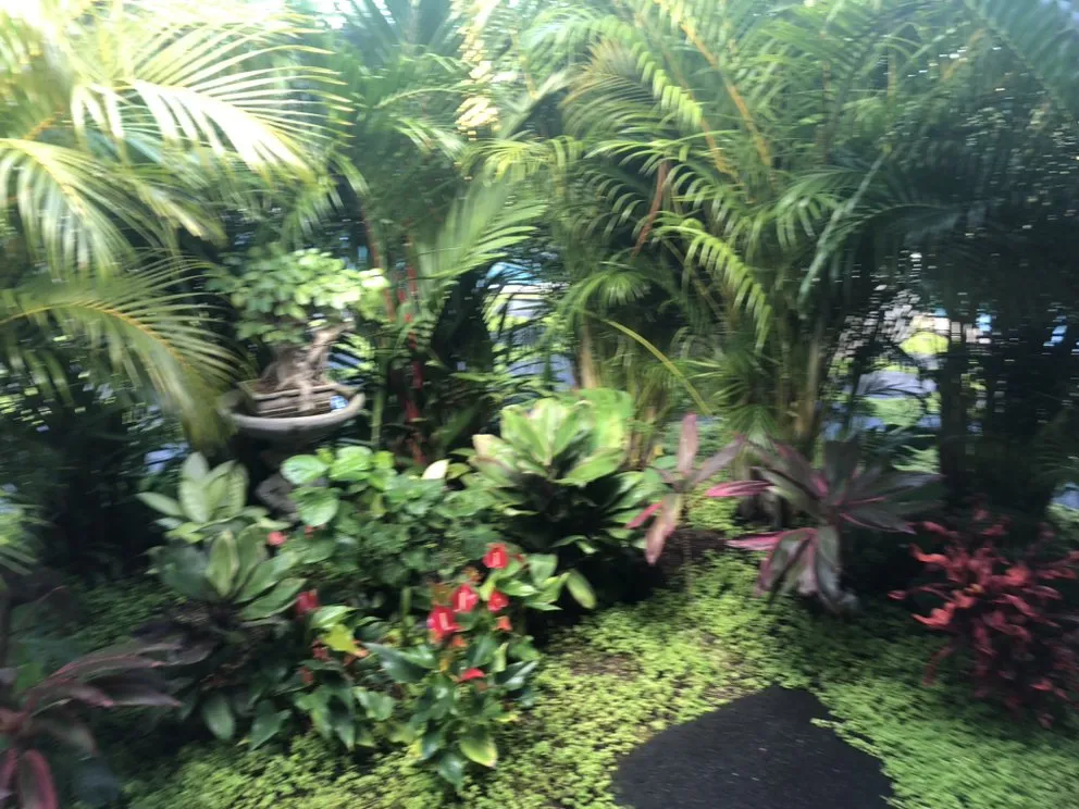 Top-rated landscaping services in Urban Honolulu, HI - Greenside Landscaping