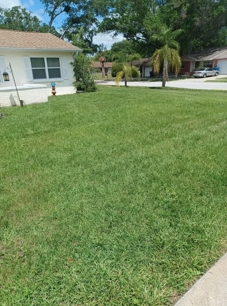 Custom lawn care service for beautiful yards across Seminole, FL - Greenside Lawn Service