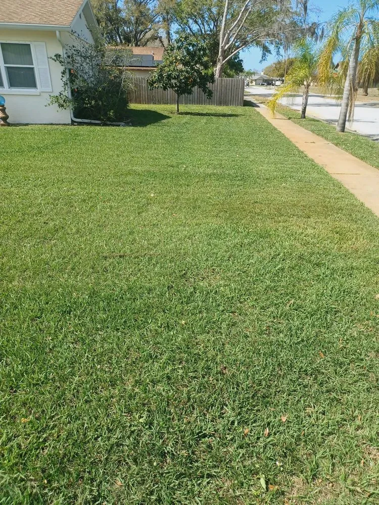 Top-rated outdoor landscaping for year-round maintenance in Seminole, FL by Greenside Lawn Service