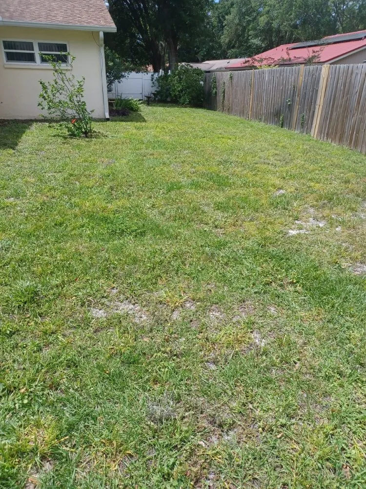 Local landscaping services for year-round maintenance in Seminole, FL by Greenside Lawn Service