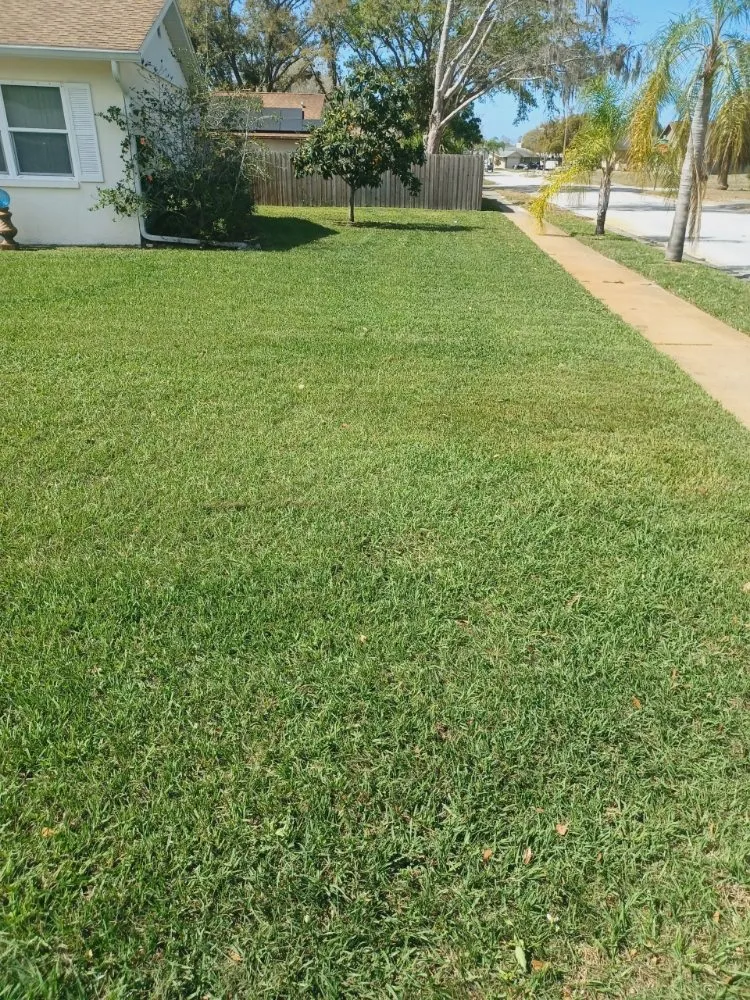 Trusted landscaping services in Seminole, FL - Greenside Lawn Service