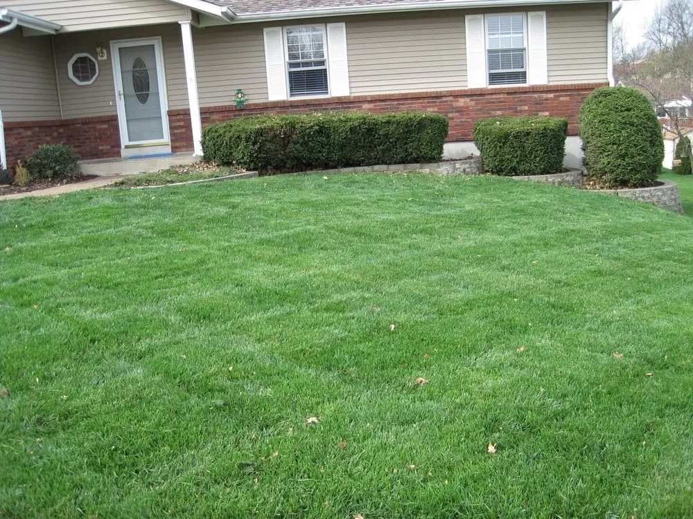 Professional yard maintenance in St Charles, MO by Greenside Lawncare