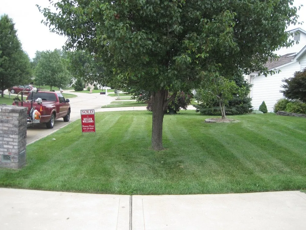 Top-rated yard cleanup service experts serving St Charles, MO - Greenside Lawncare